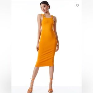 Alice and Olivia dress. Wore it one time. No stains.